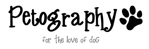 Perth Pet and Dog Photgrapher logo
